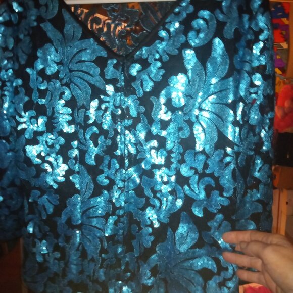 Woman's Blouse by Alex Evenings - Picture 1 of 6